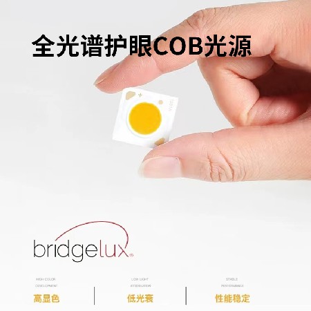 银色灯（38.8￥）